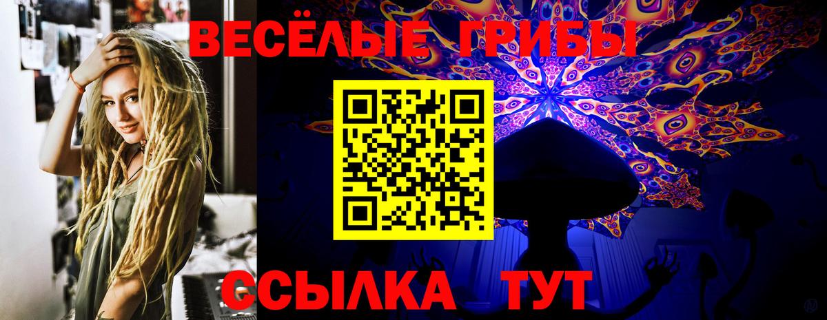 Дедовск  Псилоцибиновые грибы мухоморы  Вход с VPN 